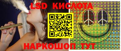 спиды Дубна