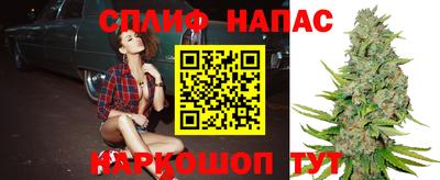 молекула духа Татарск