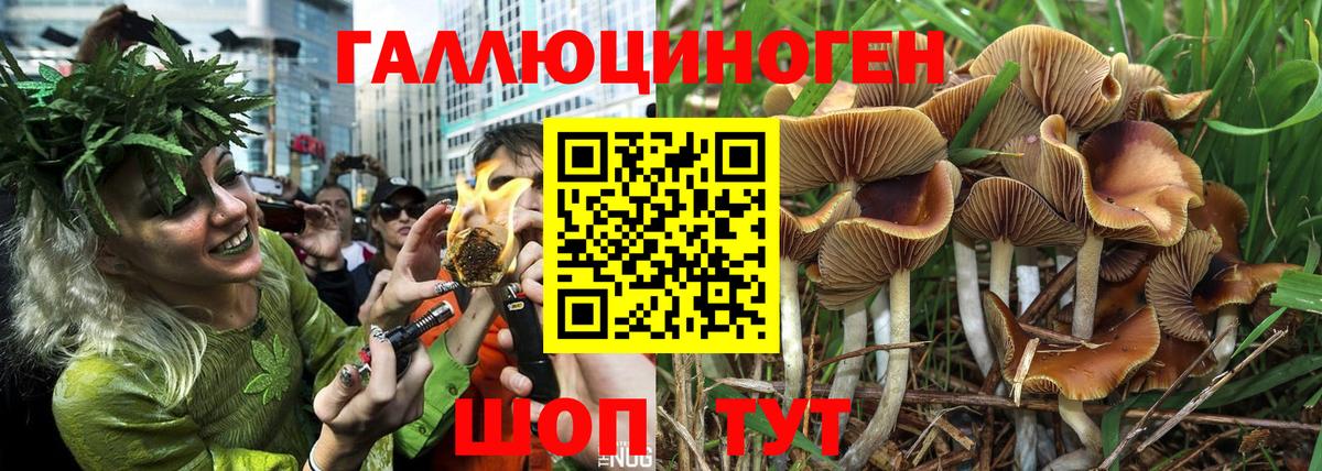 Псилоцибиновые грибы Psilocybine cubensis  где купить наркоту  Вход с VPN  Междуреченск  Галлюциногенные грибы MAGIC MUSHROOMS 